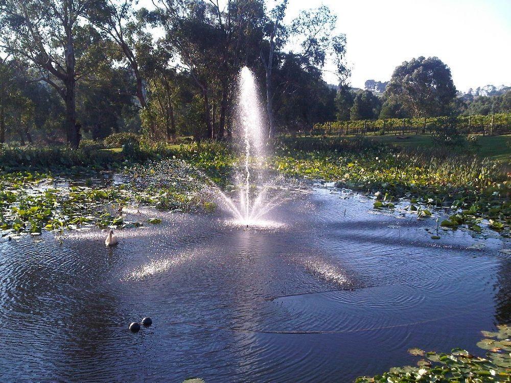 Wild Cattle Creek Estate Bed & Breakfast Wandin Yallock Exterior photo